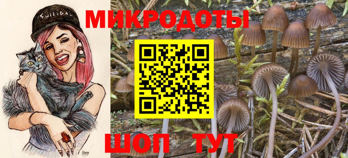 как найти закладки  Галлюциногенные грибы мухоморы  Галлюциногенные грибы GOLDEN TEACHER  Вход с VPN  Клин 